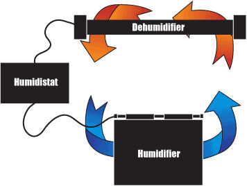 Piano Lifesaver System